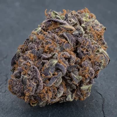 ShuCanna Gorilla Grape 5 x
