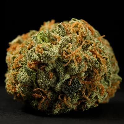 ShuCanna Jelly Breath 3 5