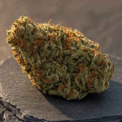 ShuCanna Kandy Kush