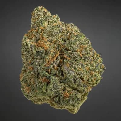 SHUCANNA KUSH