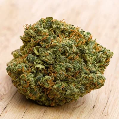 ShuCanna Kush 1 x