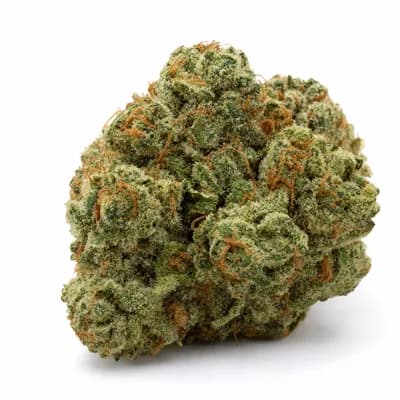 ShuCanna Kush Dogwalkers 10 x