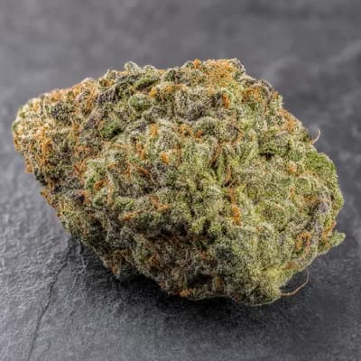 ShuCanna Monster Kush 10