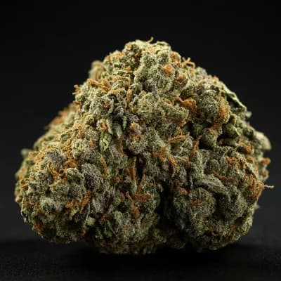 ShuCanna Monster Kush 3 5