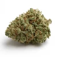 Silver Haze