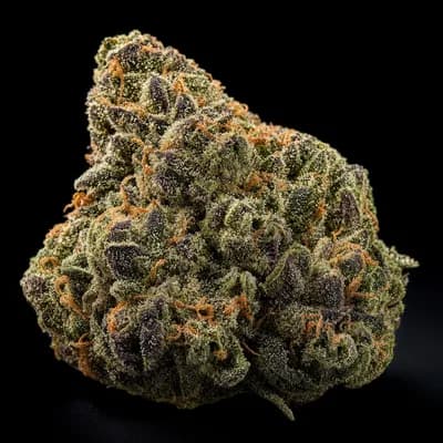Skunk Berry