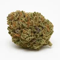 Slurricane