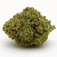 Sour Apple
