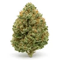 Sour Diesel