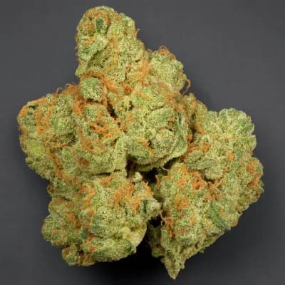 Sour Jak