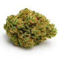 Sour Kush