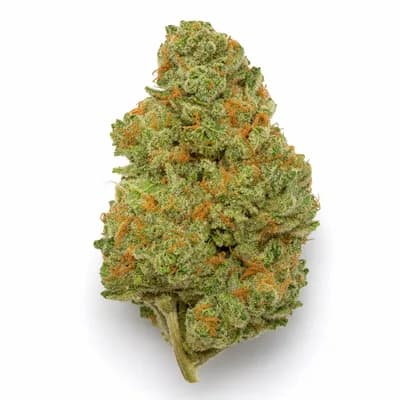 Sour Lemon Skunk