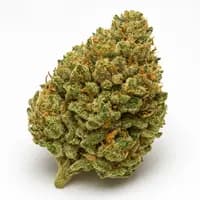 Sour OG