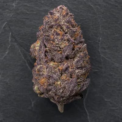 Sour Pink Grapefruit