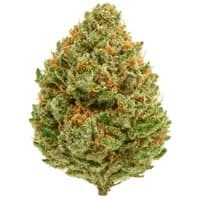 Sour Tangie