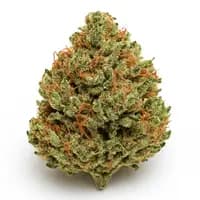 Strawberry Cough