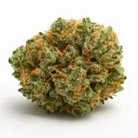 Strawberry Guava