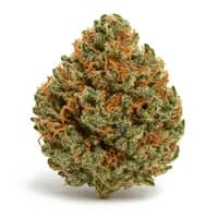 Strawberry Kush