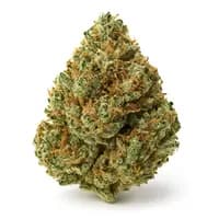Sundae Driver