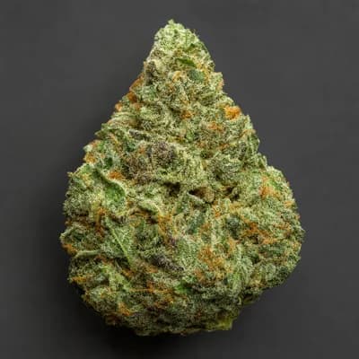 Sundae Mint