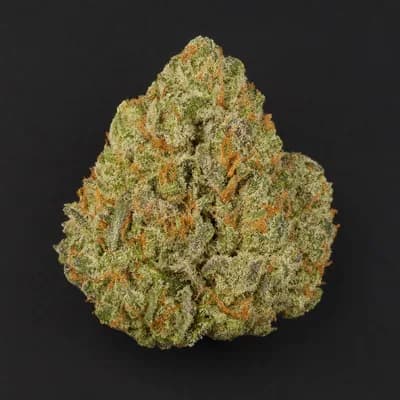 Sunset Spice