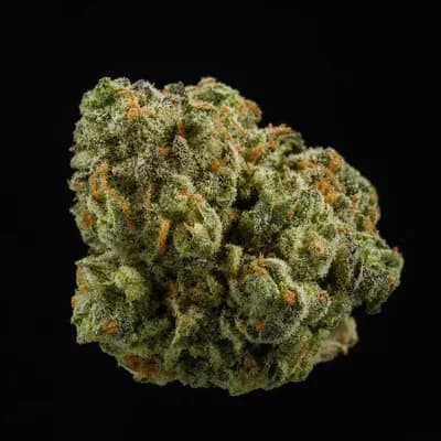 Super Silver Haze 27