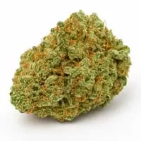 Tahoe OG