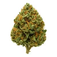Tangerine