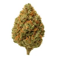 Tangie