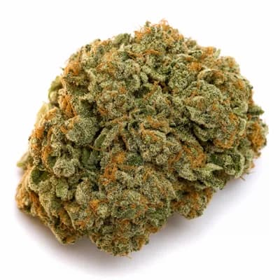 THCA Coated Master Kush