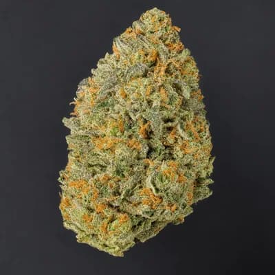 TK Lato x Zkittles Cake