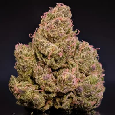 Toxic Pink