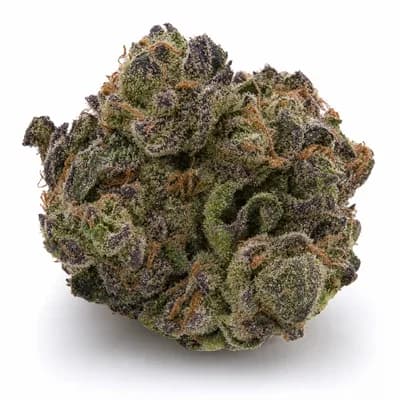 Tropical Cherry