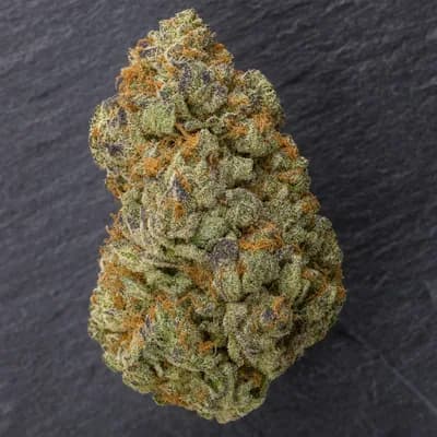 TROPICAL ZMOOTHIE