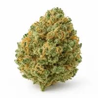 Tropicana Cookies