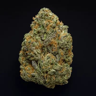 Tropicana Cookies ounce