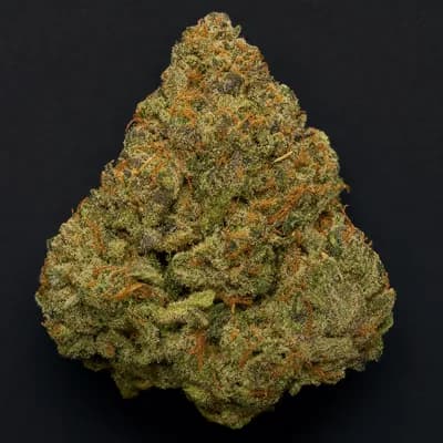 TRUFFLE
