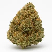 Truffle Butter