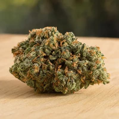 Tuna Can Kush