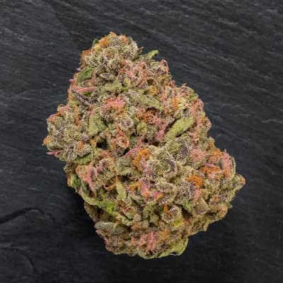 Ultra Pink