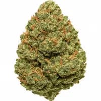 Ultra Sour