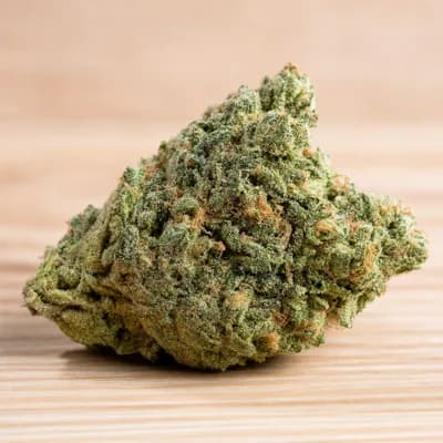 Utopia Haze