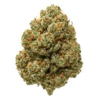 Vanilla Kush