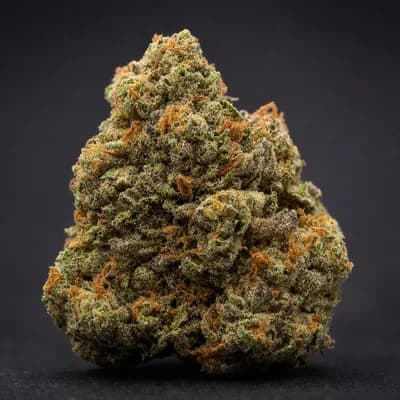 White Runtz FSE