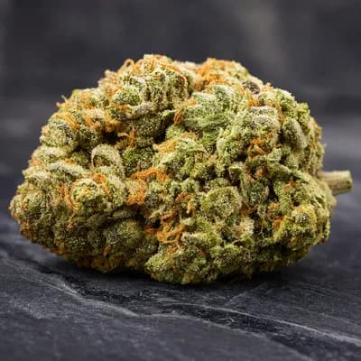Yoda