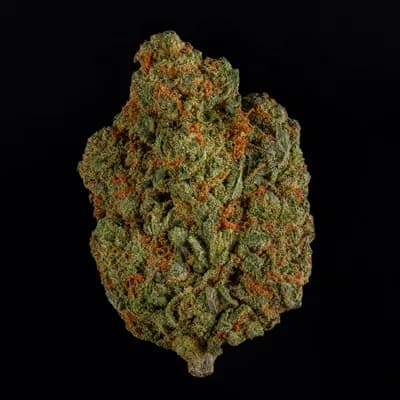 Zkittle Head
