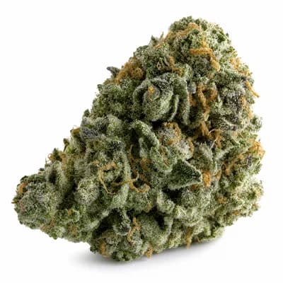 Zombie Bubba
