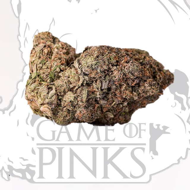 Pink Iron Throne - Game of Pinks