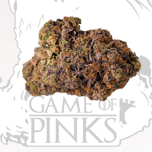 Pink Brothel - Game of Pinks
