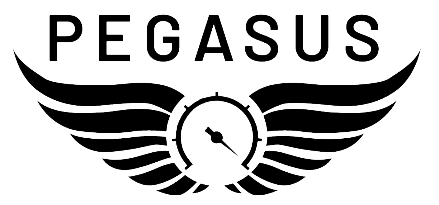 Pegasus